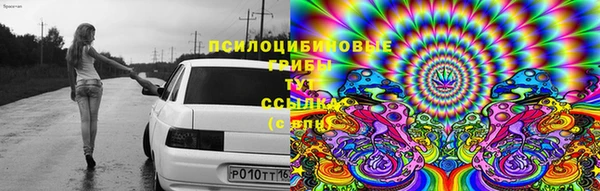 меф VHQ Дмитриев
