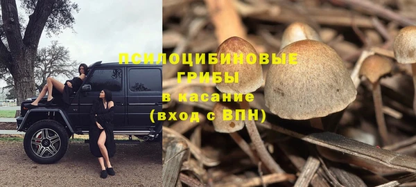не бодяженный Горняк