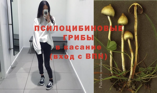 твердый Горнозаводск