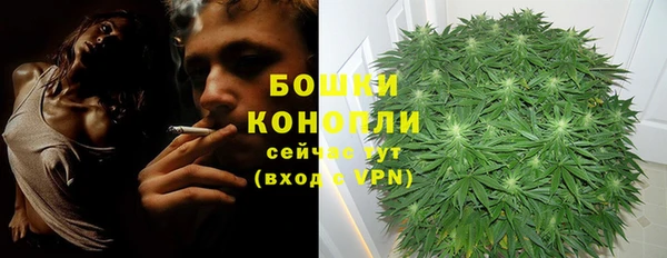 твердый Горнозаводск
