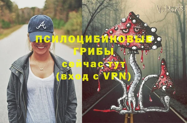 твердый Горнозаводск