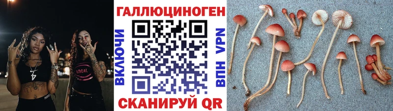 Псилоцибиновые грибы мицелий omg вход Дудинка
